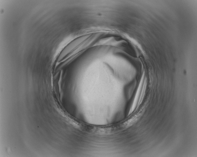 X0000071771365200607282202