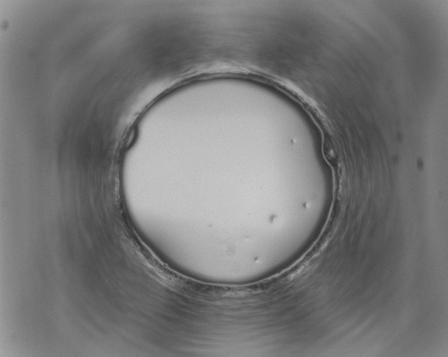 X0000071771367200607282202