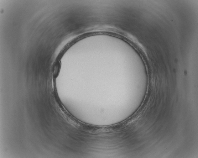 X0000071771368200607282202