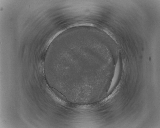 X0000071771369200607282202