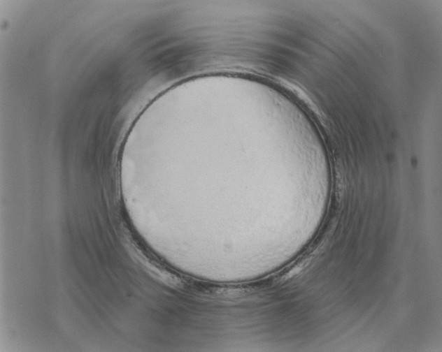 X0000071771371200607282202