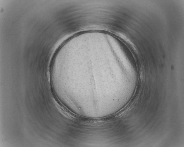 X0000071771372200607282202