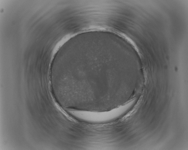 X0000071771373200607282202