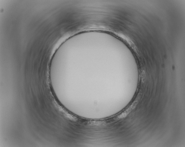 X0000071771374200607282202