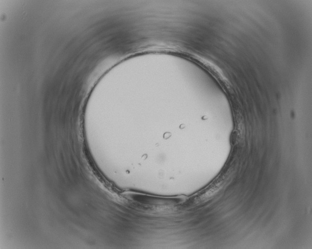 X0000071771375200607282202