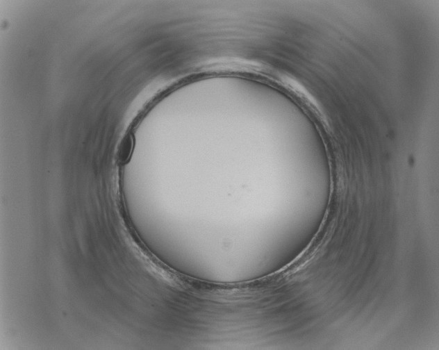 X0000071771376200607282202