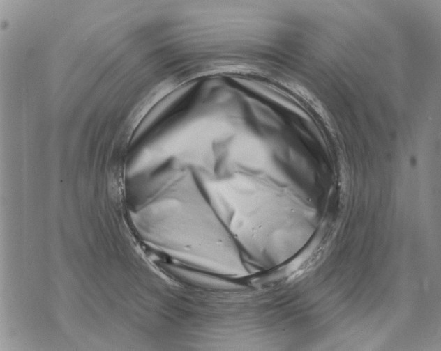 X0000071771377200607282202