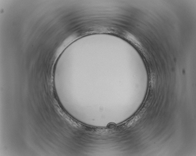 X0000071771378200607282202