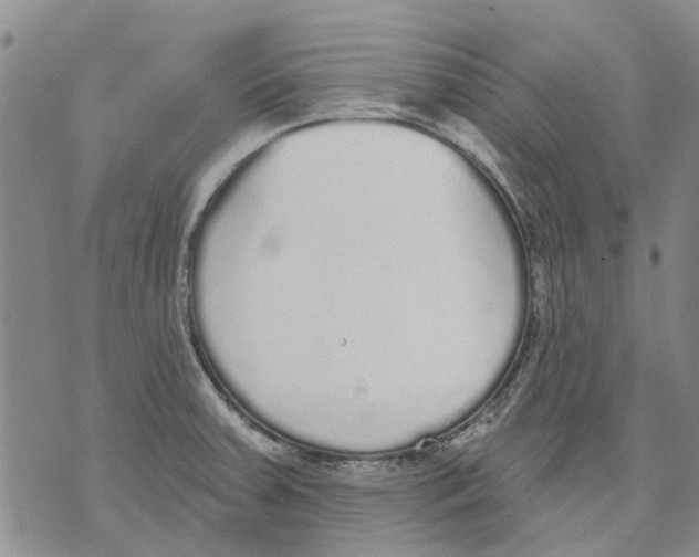 X0000071771379200607282202