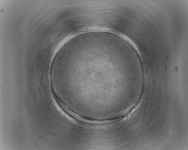 X0000071771381200607282202