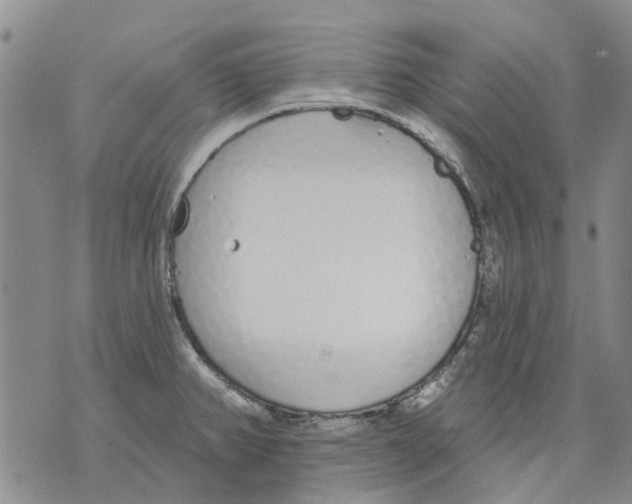 X0000071771382200607282202