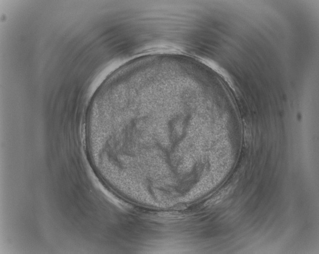 X0000071771383200607282202