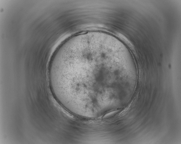 X0000071771384200607282202