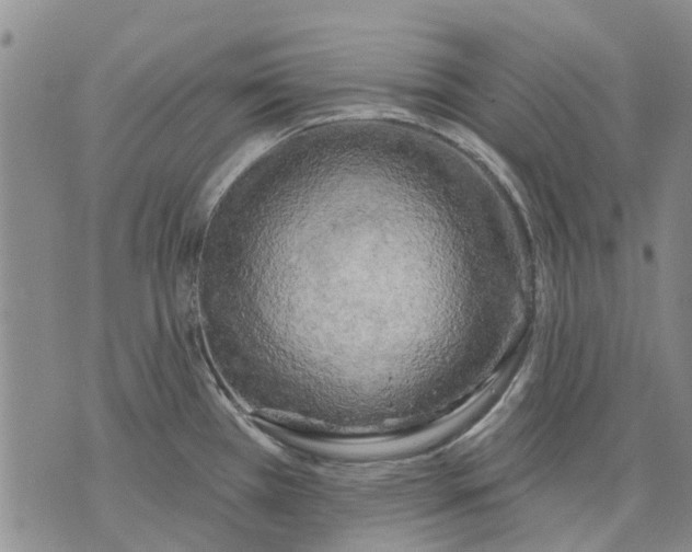 X0000071771385200607282202