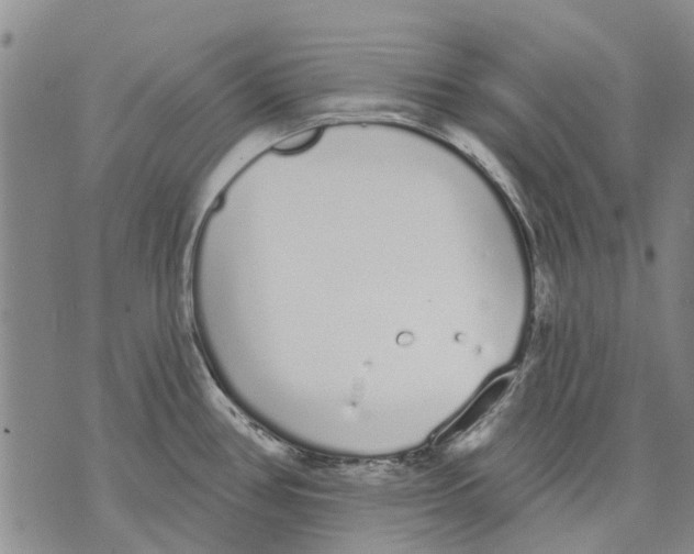 X0000071771386200607282202