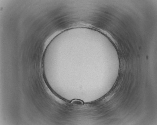 X0000071771387200607282202