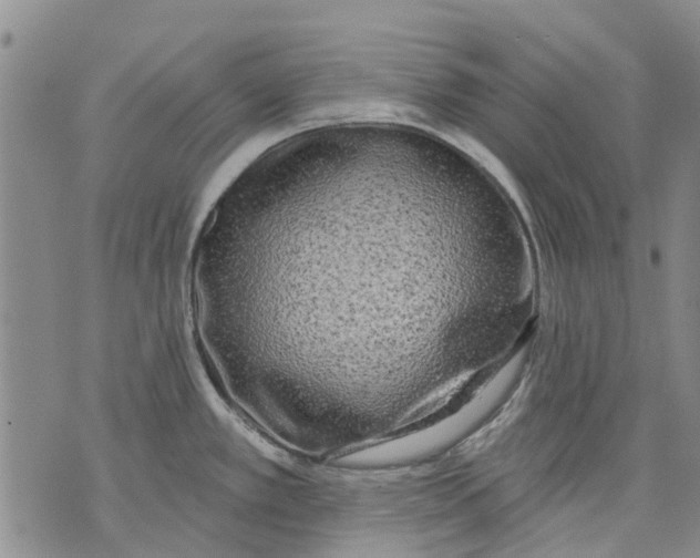 X0000071771389200607282202