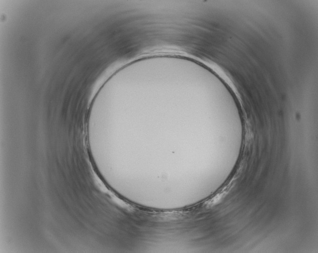 X0000071771390200607282202