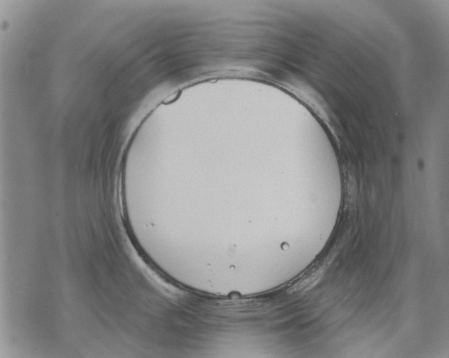 X0000071771391200607282202