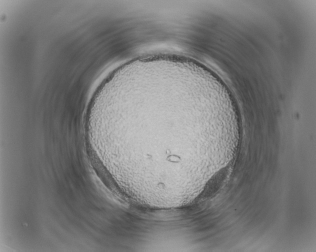 X0000071771392200607282202