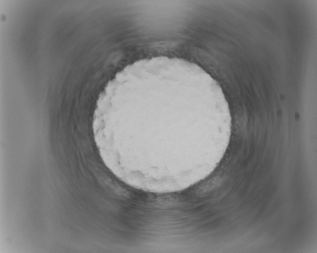 X0000071771393200607282201