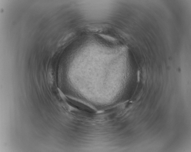 X0000071771394200607282201