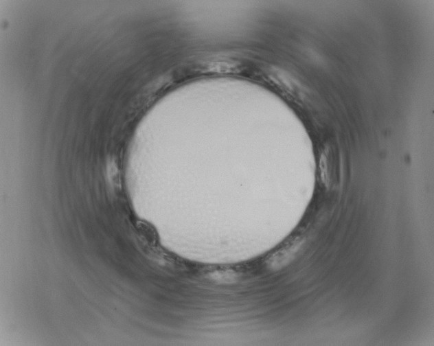 X0000071771395200607282201