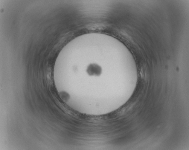 X0000071771396200607282201