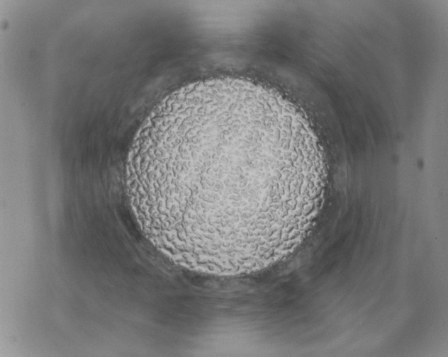 X0000071771397200607282201