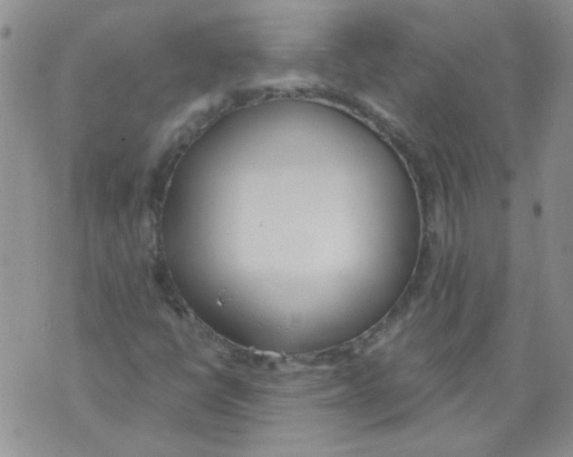 X0000071771398200607282201