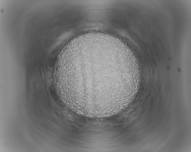 X0000071771399200607282201