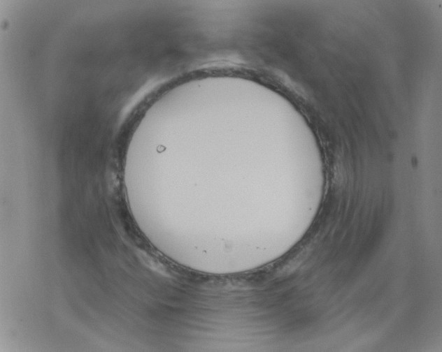 X0000071771400200607282201