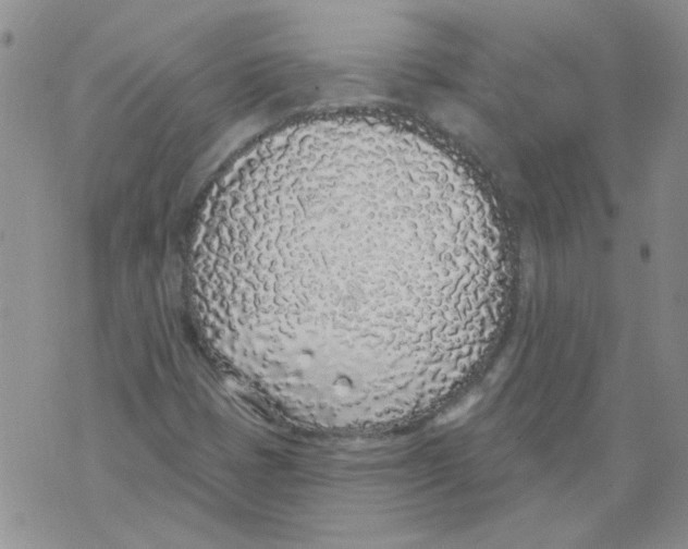 X0000071771401200607282201