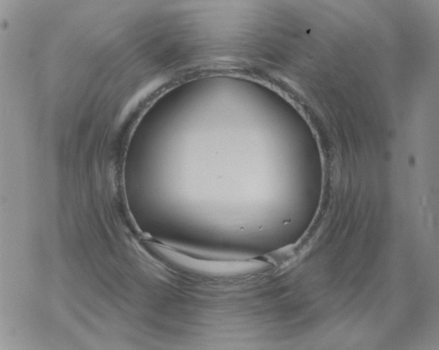 X0000071771402200607282201