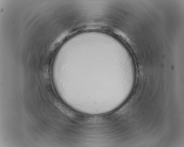 X0000071771403200607282201