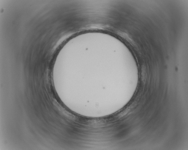 X0000071771404200607282201