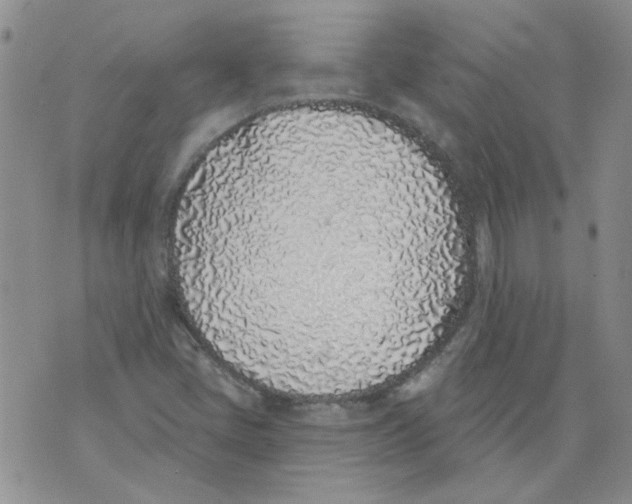 X0000071771405200607282201