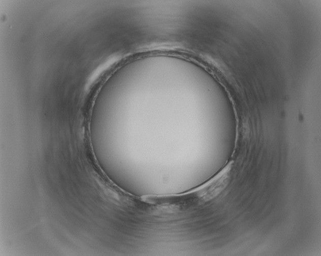 X0000071771406200607282201