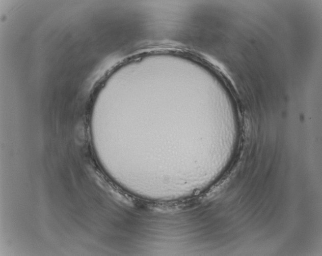 X0000071771407200607282201