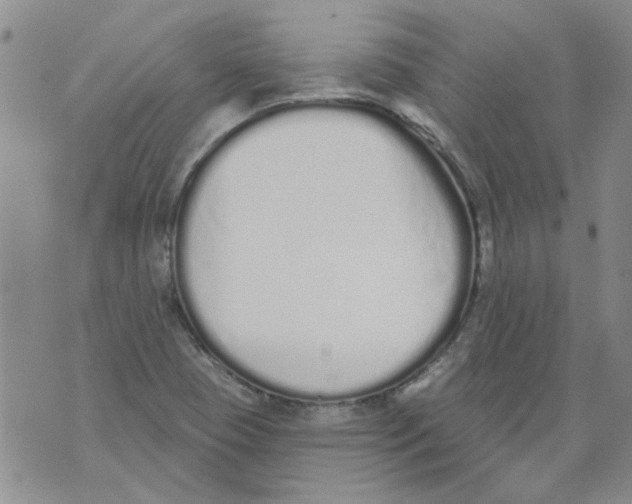 X0000071771409200607282202