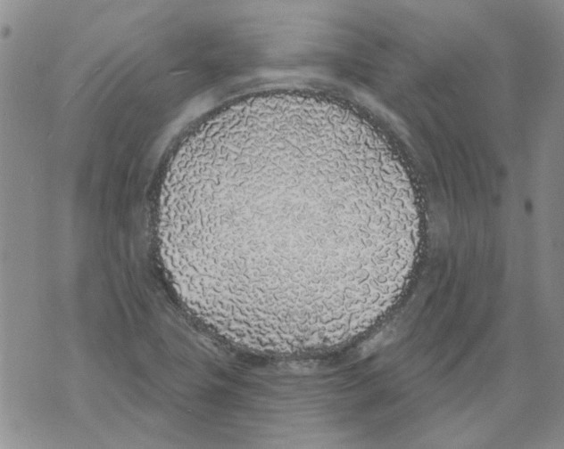 X0000071771411200607282202