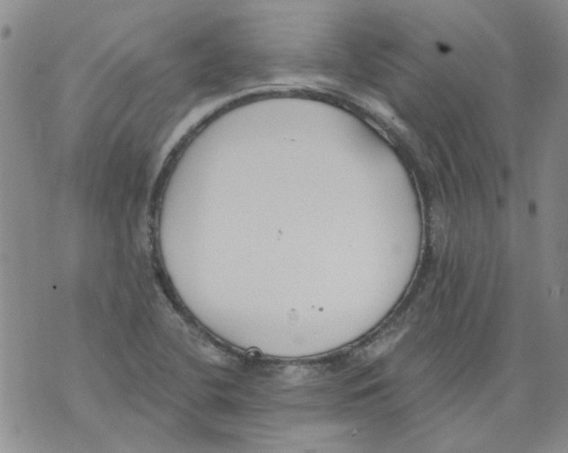 X0000071771412200607282202