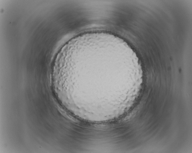 X0000071771413200607282202