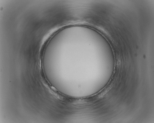 X0000071771414200607282202