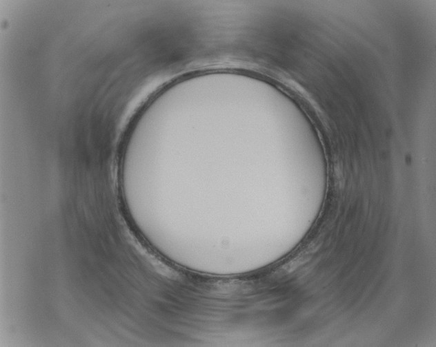 X0000071771416200607282202