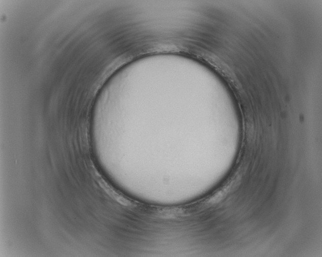 X0000071771417200607282202