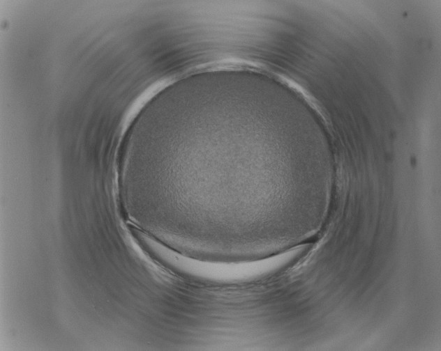 X0000071771418200607282202