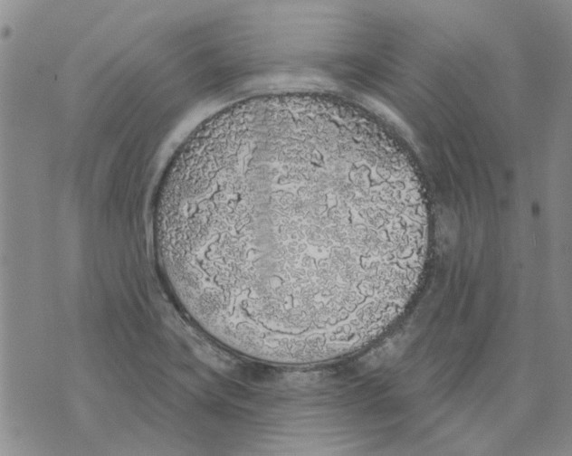 X0000071771419200607282202