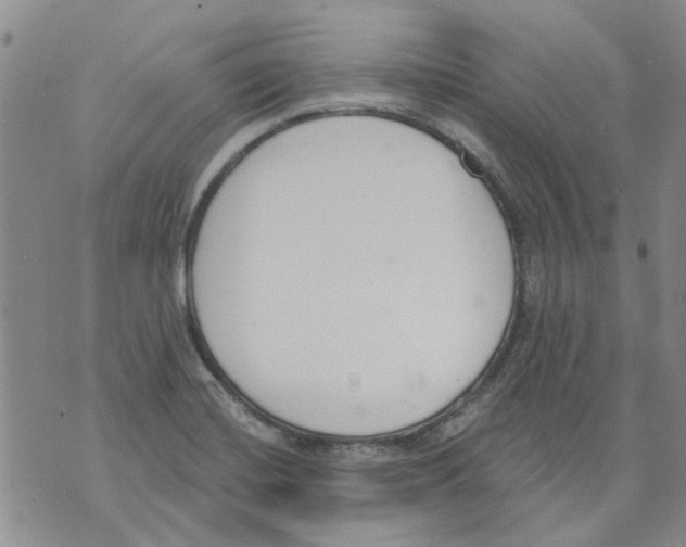 X0000071771420200607282202