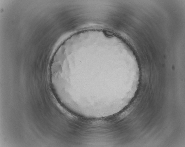 X0000071771421200607282202